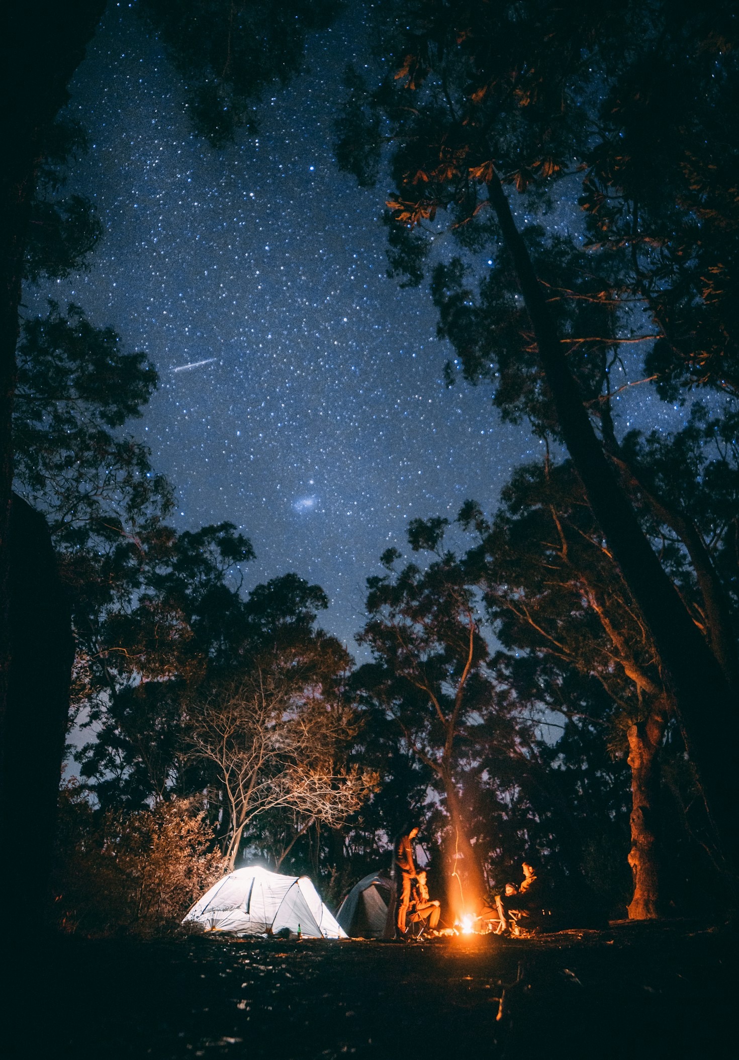 Why Connecting With Nature Improves Wellbeing